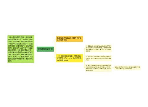 细胞病理学检查