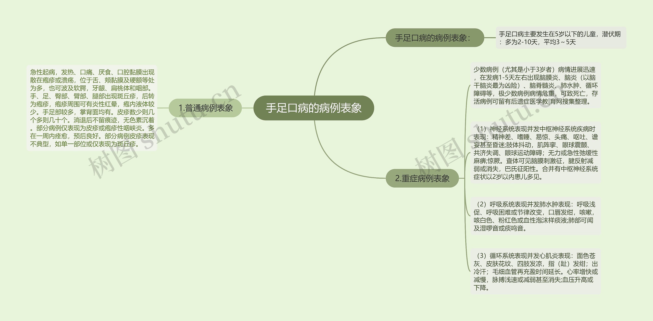 手足口病的病例表象思维导图