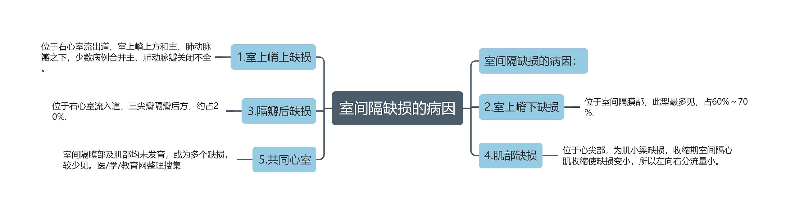 室间隔缺损的病因思维导图