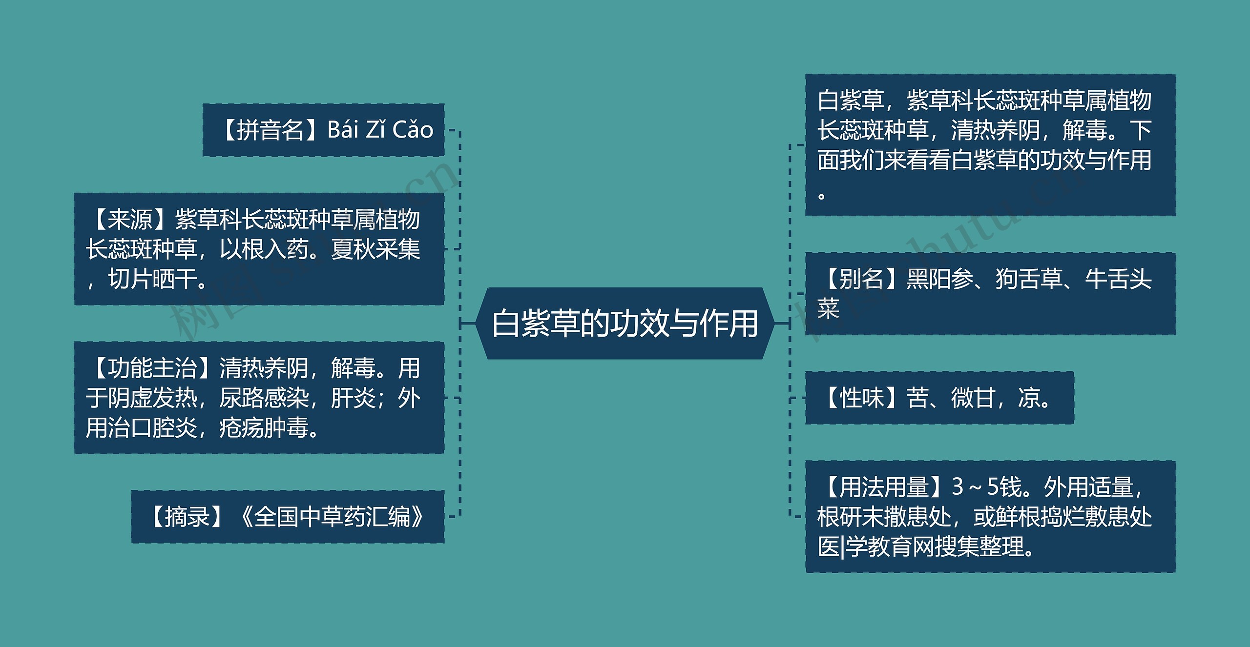 白紫草的功效与作用思维导图