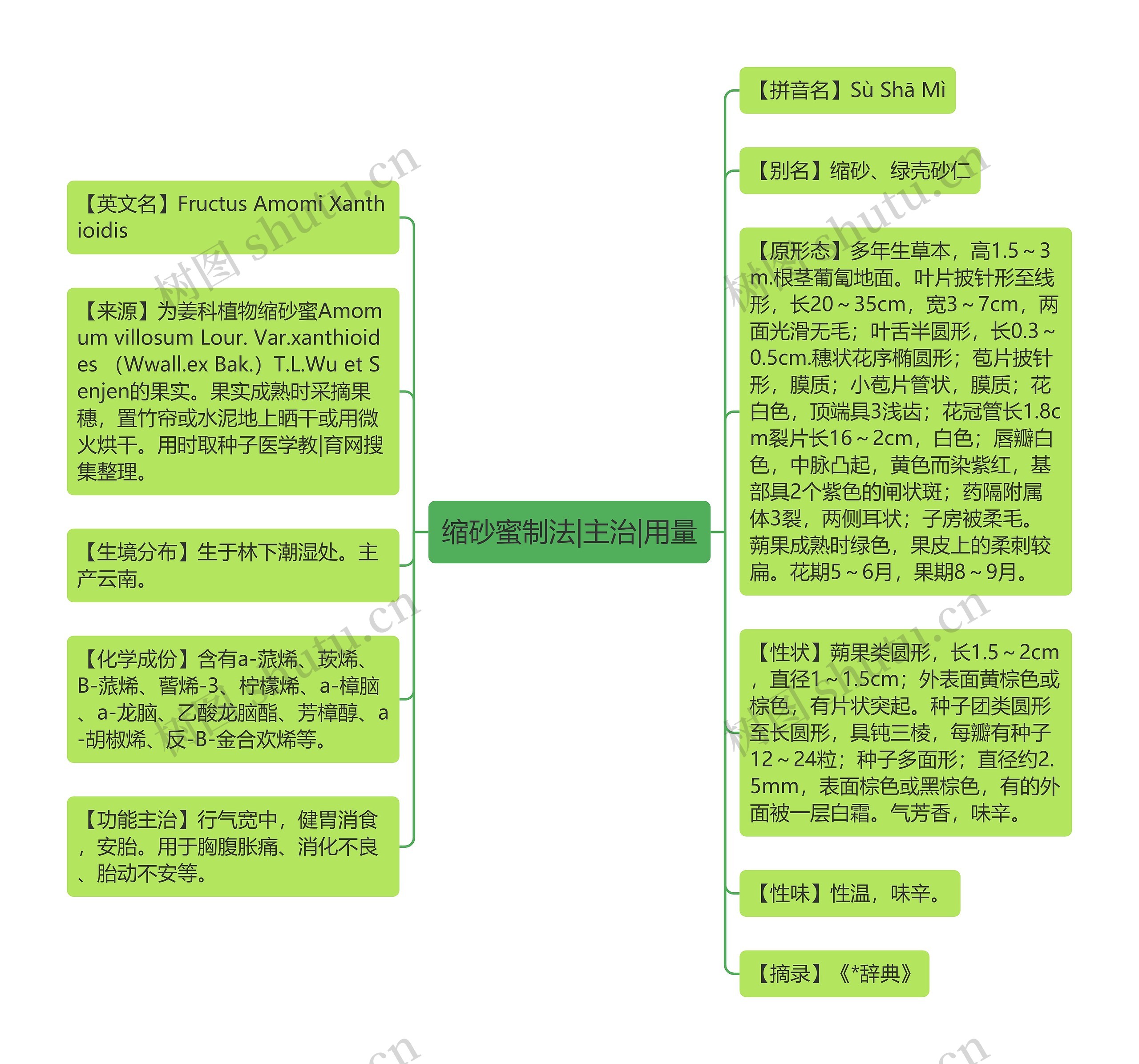 缩砂蜜制法|主治|用量思维导图