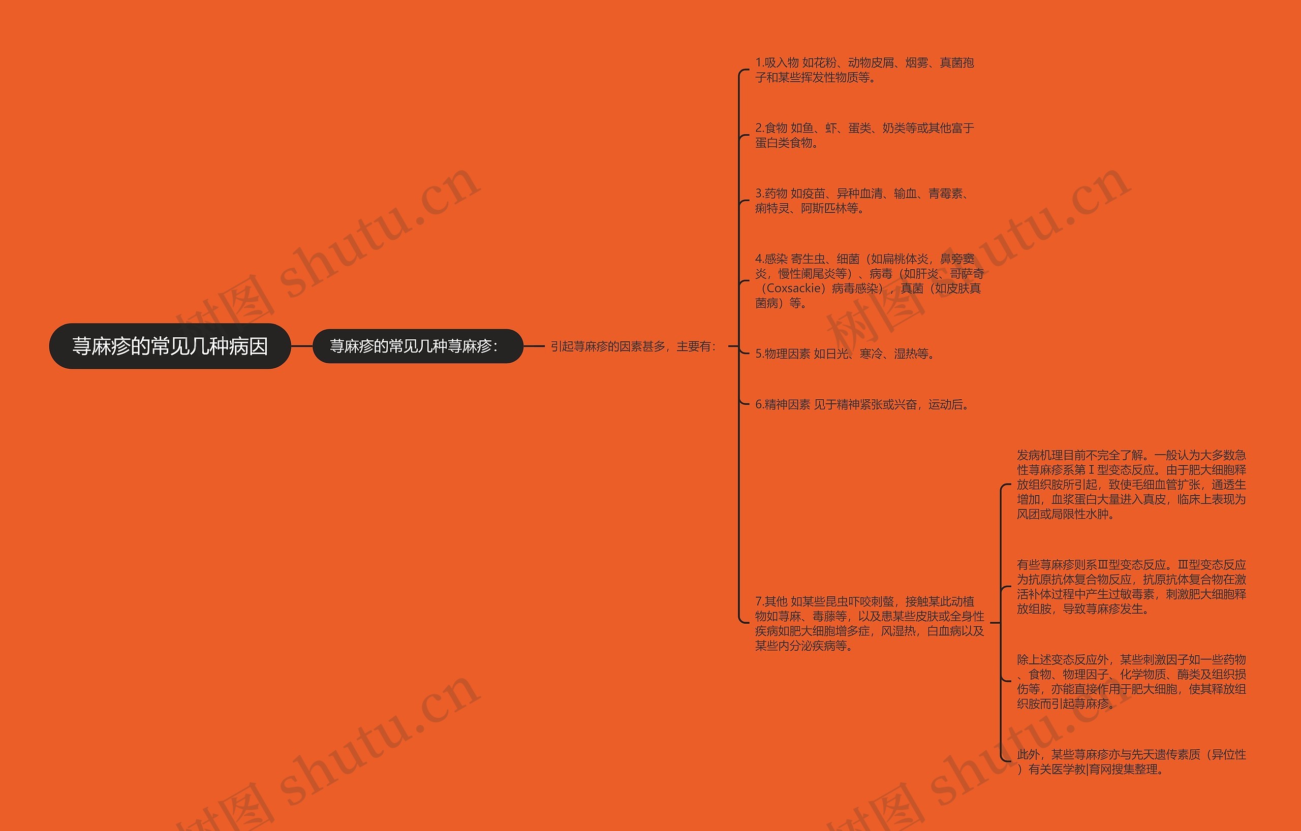 荨麻疹的常见几种病因思维导图