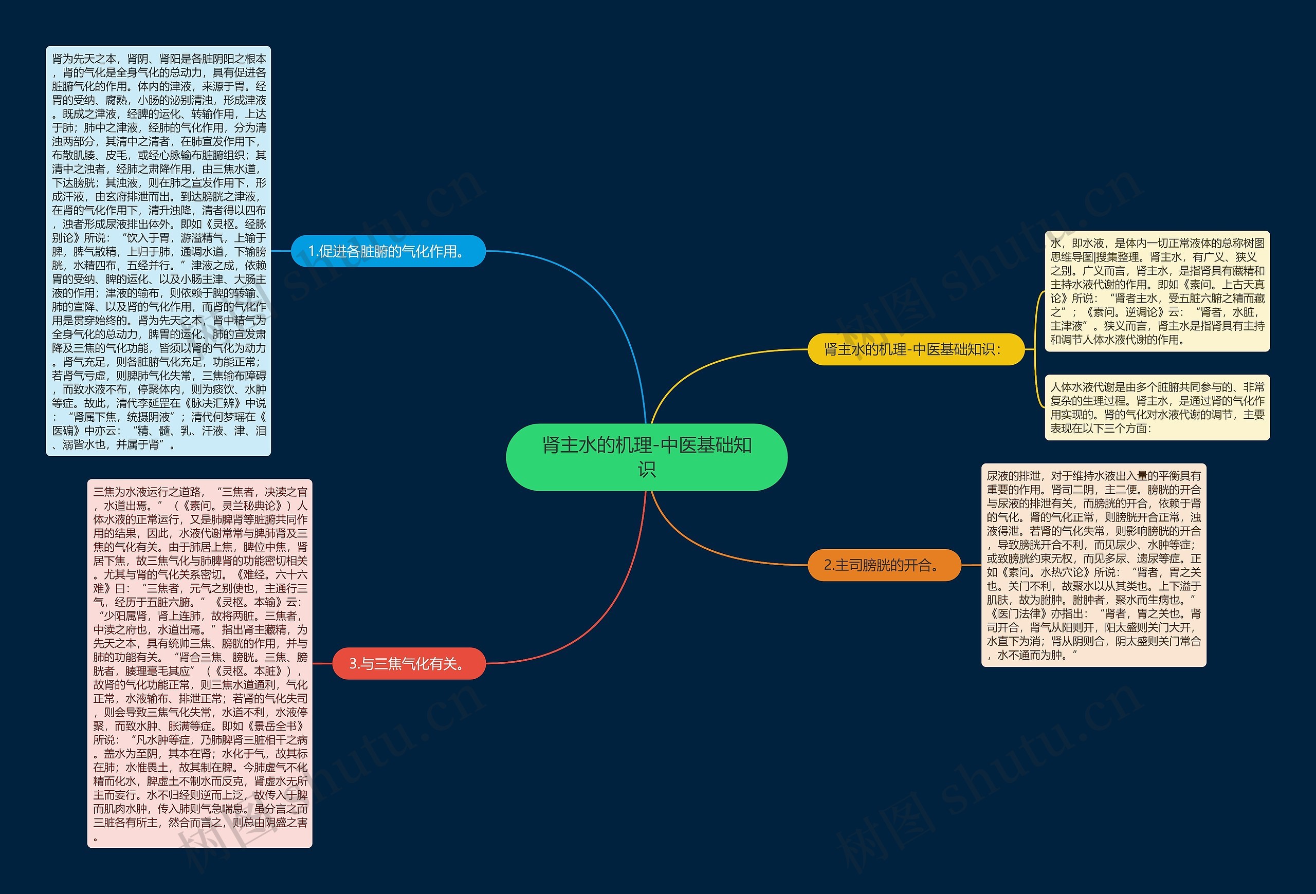 肾主水的机理-中医基础知识思维导图