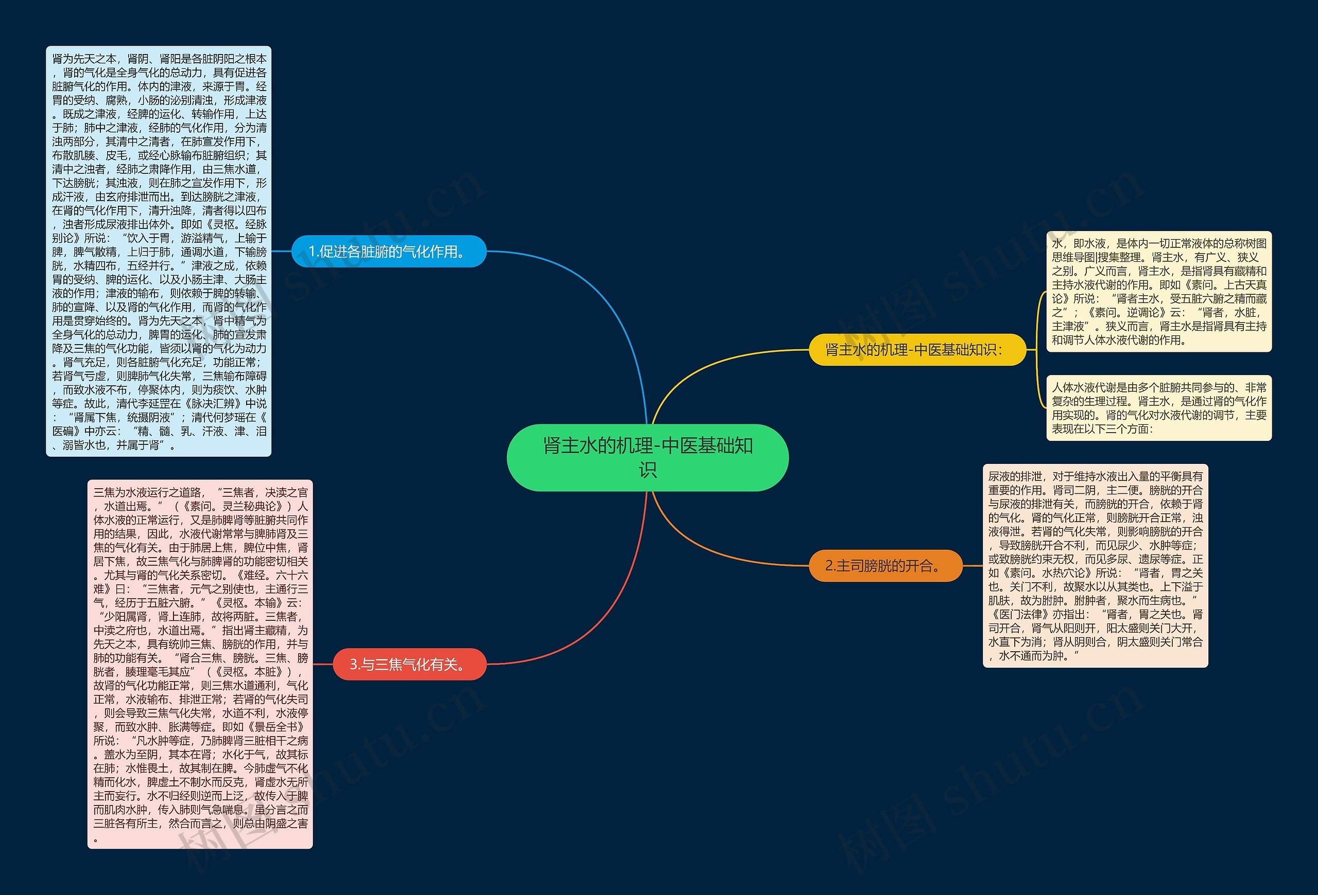 肾主水的机理-中医基础知识 肾主水的机理-中医基础知识