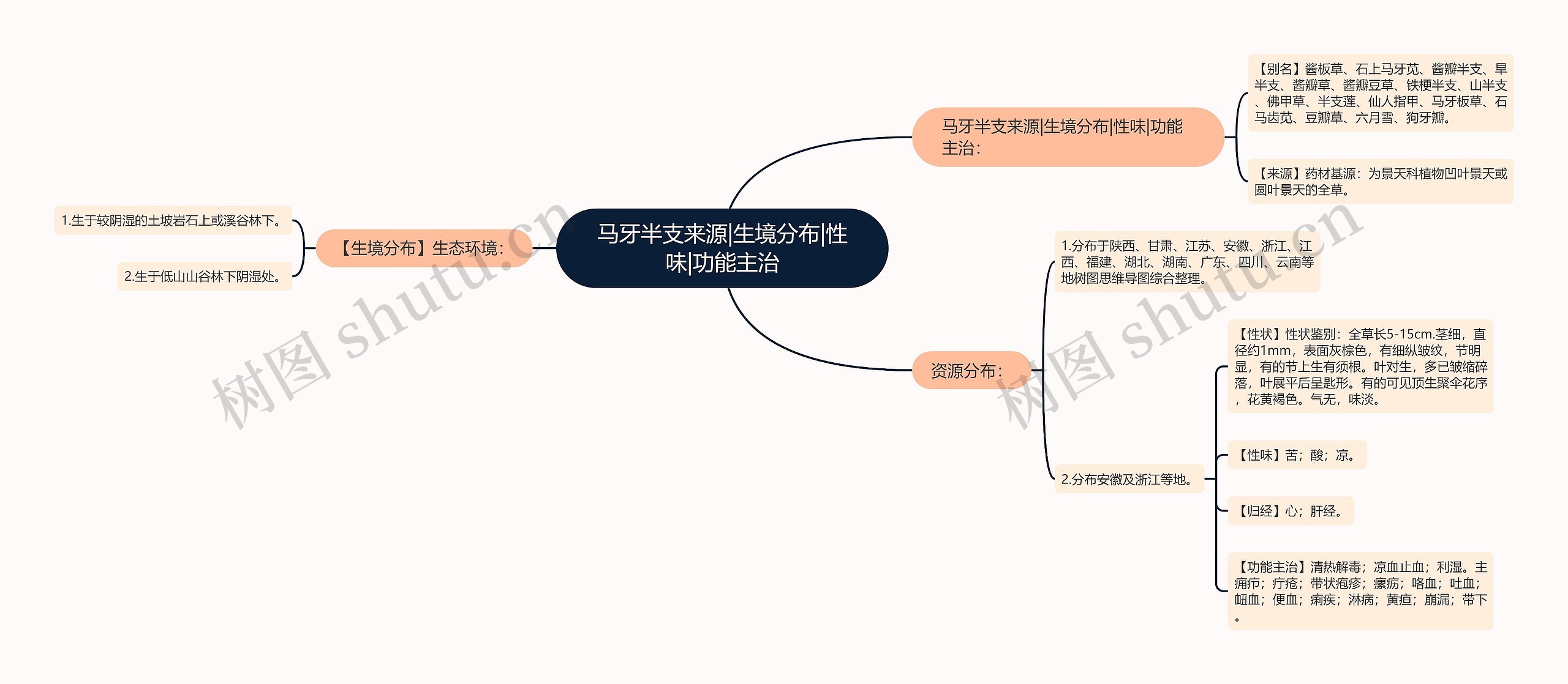 马牙半支来源|生境分布|性味|功能主治思维导图