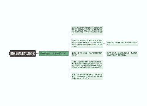 蛋白质变性|沉淀|凝固