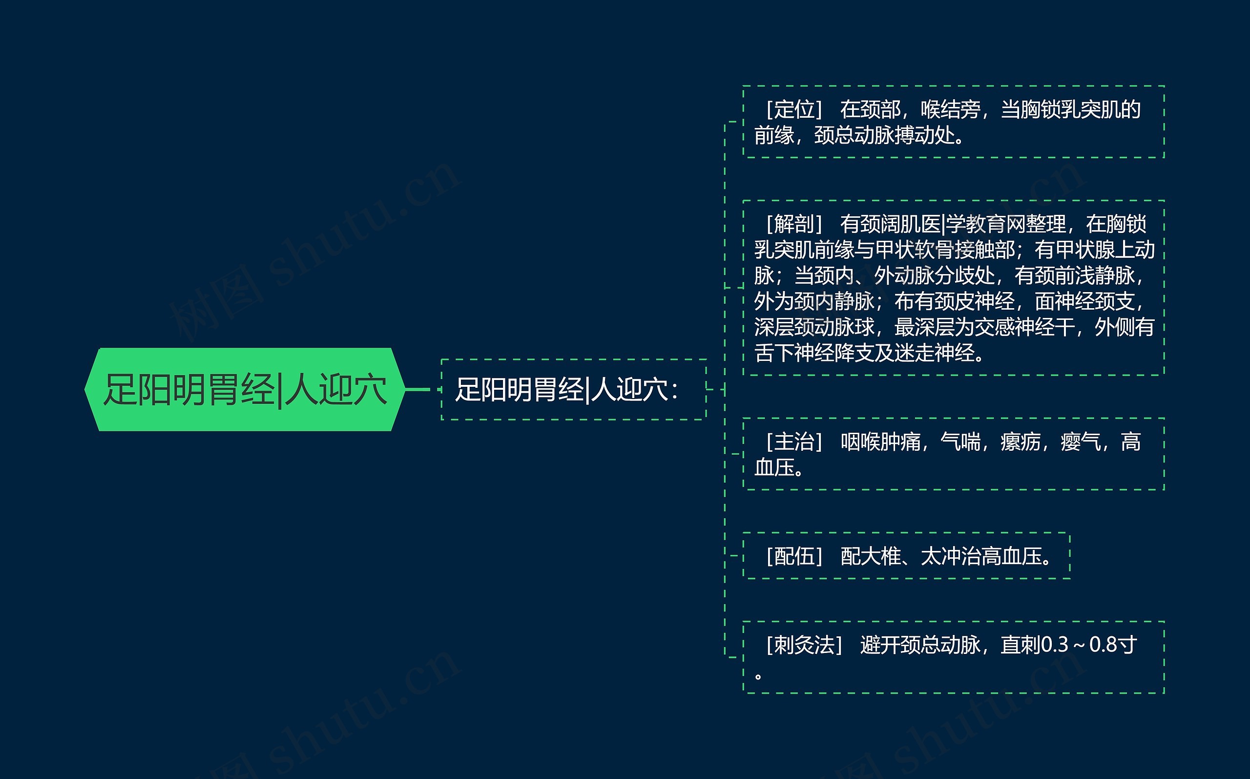 足阳明胃经|人迎穴思维导图