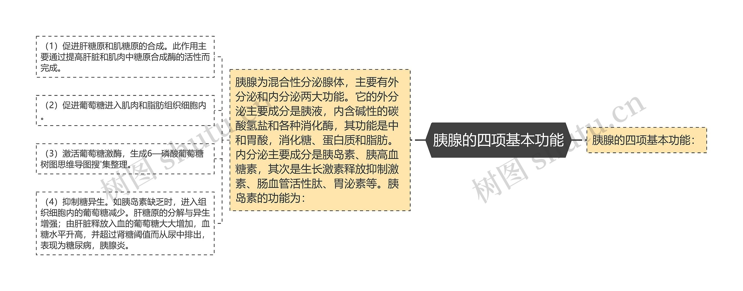 胰腺的四项基本功能