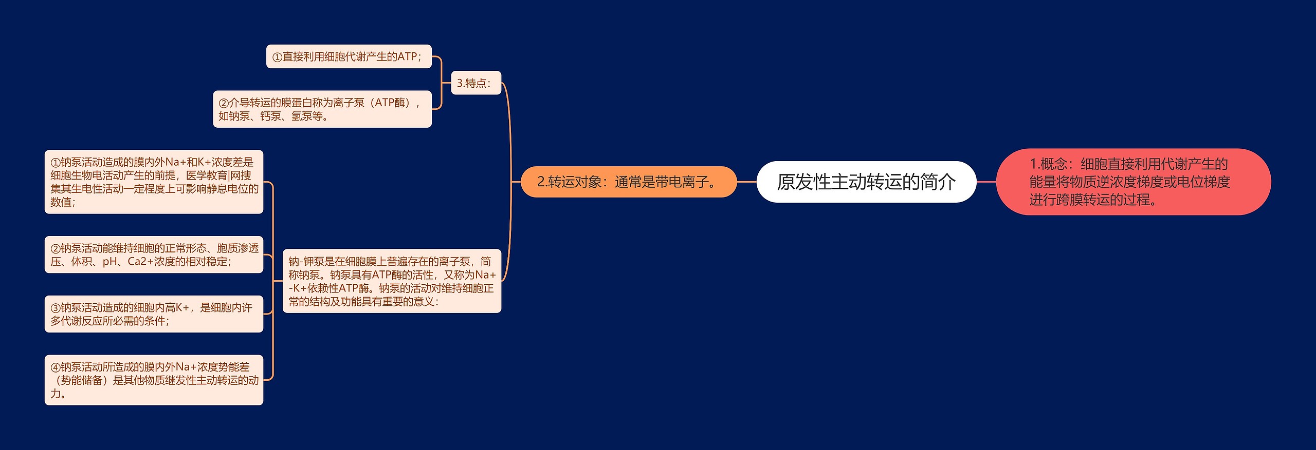 原发性主动转运的简介思维导图