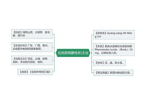 光亮密网蕨性状|主治