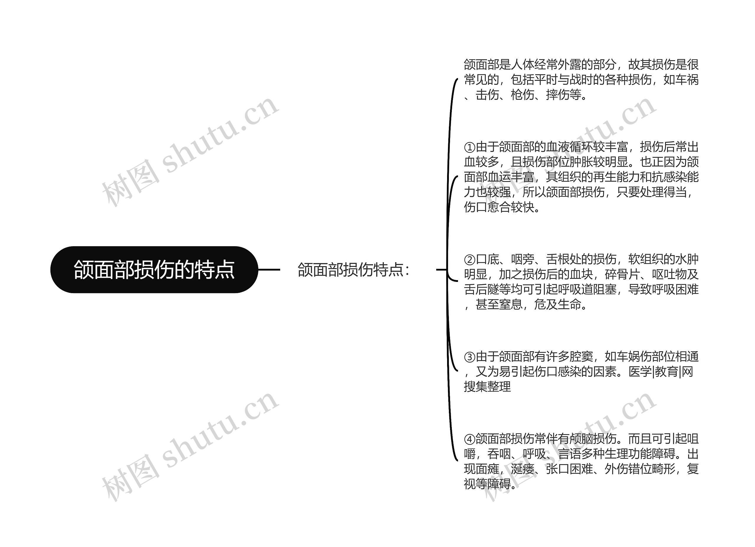 颌面部损伤的特点思维导图