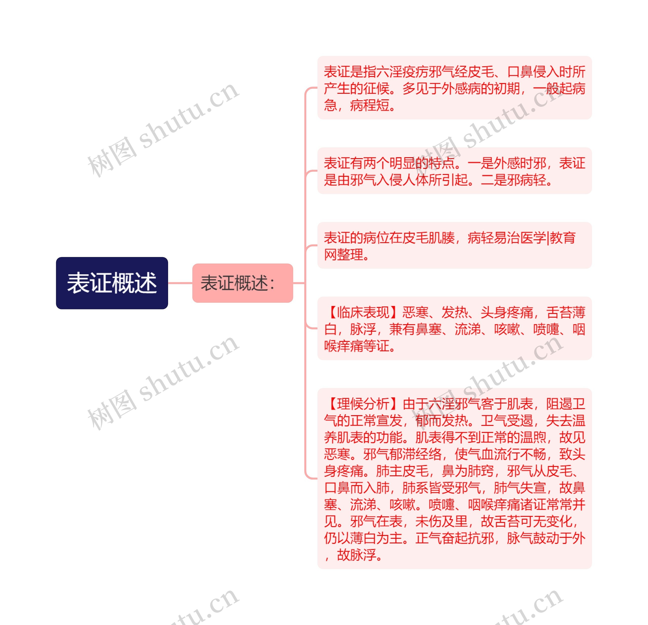 表证概述