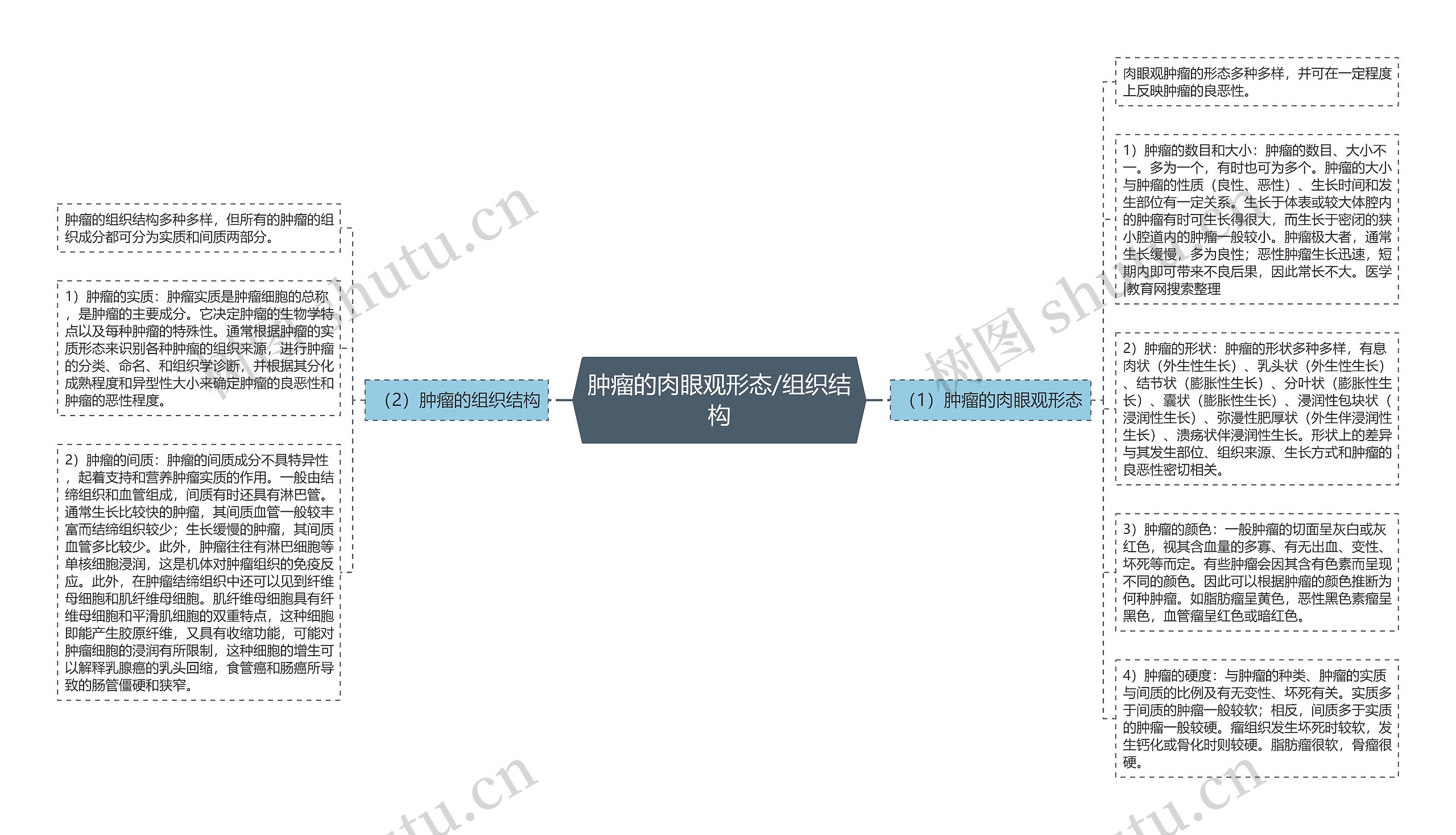 肿瘤的肉眼观形态/组织结构思维导图