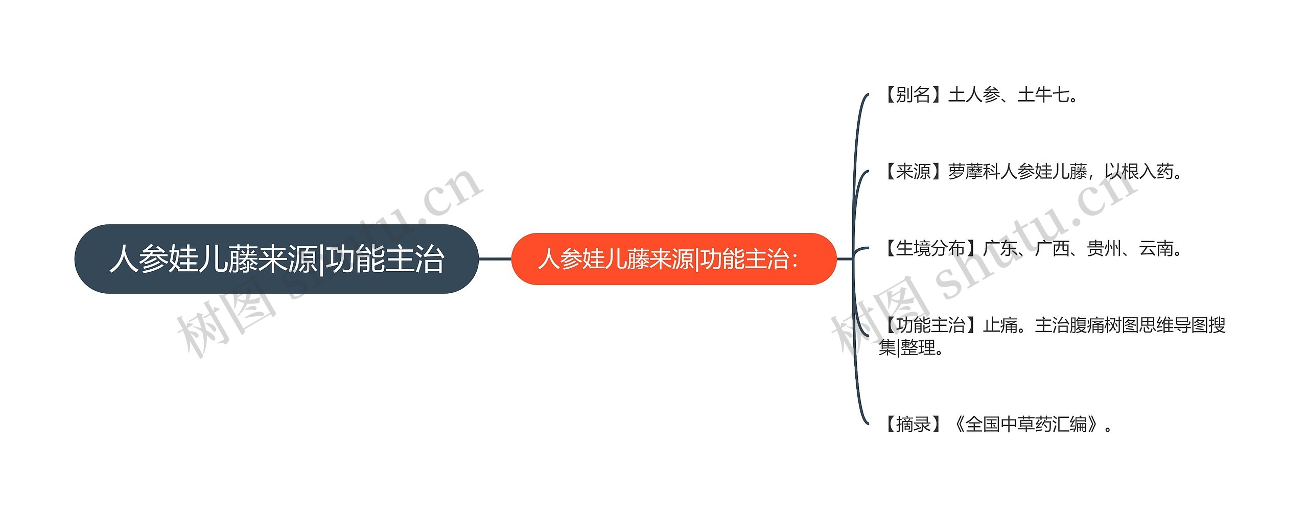 人参娃儿藤来源|功能主治