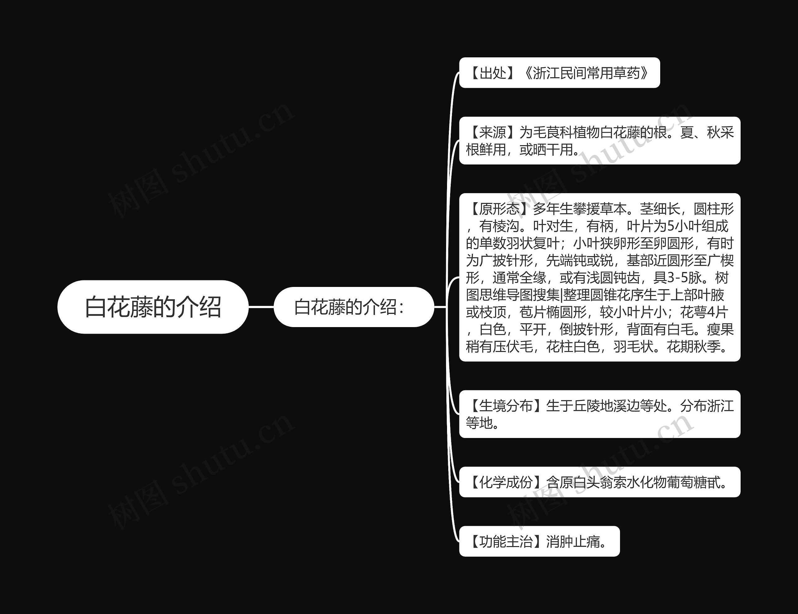 白花藤的介绍 白花藤的介绍