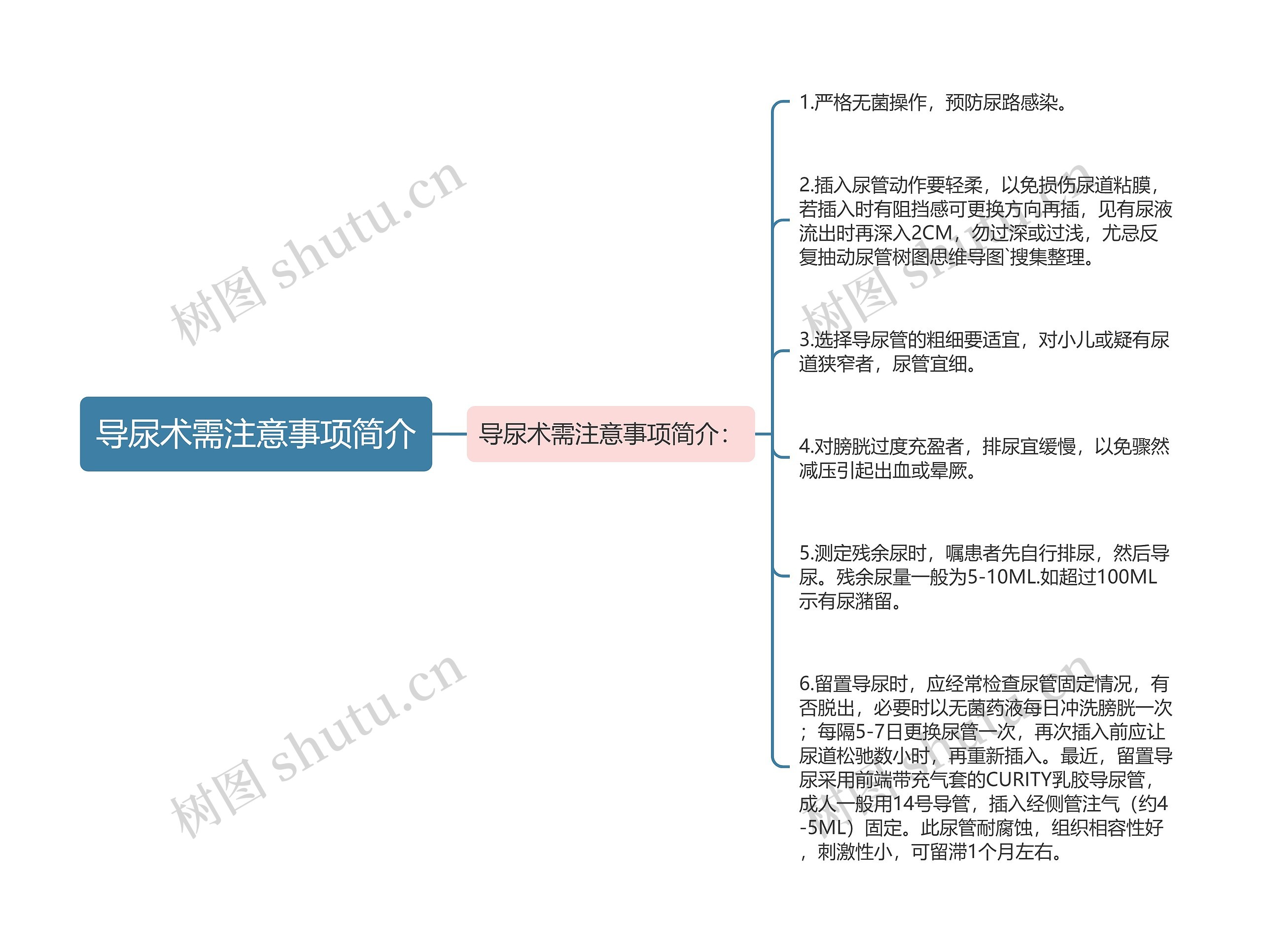 导尿术需注意事项简介思维导图