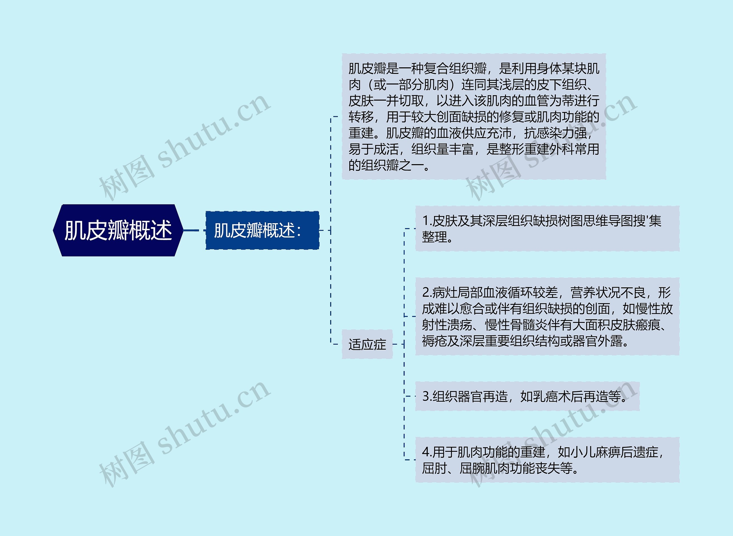 肌皮瓣概述思维导图