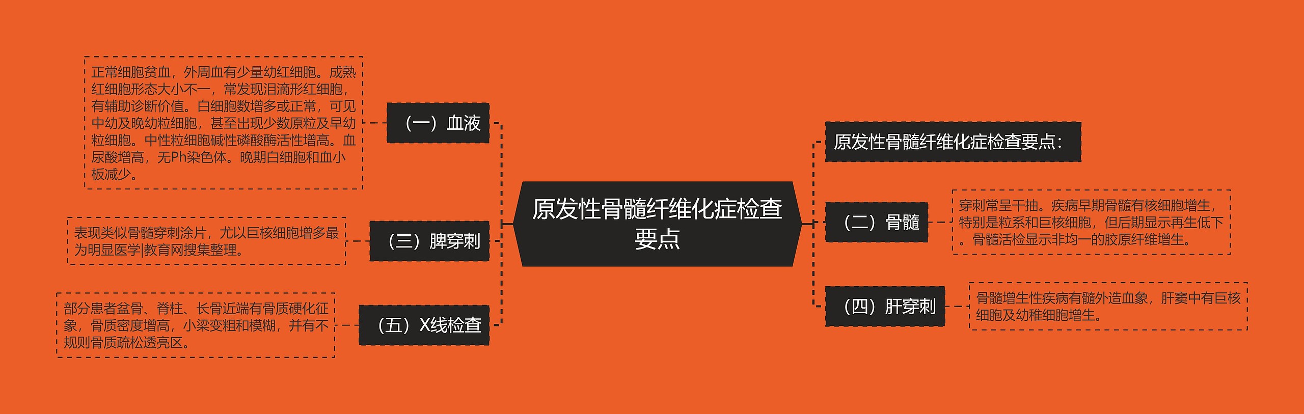 原发性骨髓纤维化症检查要点