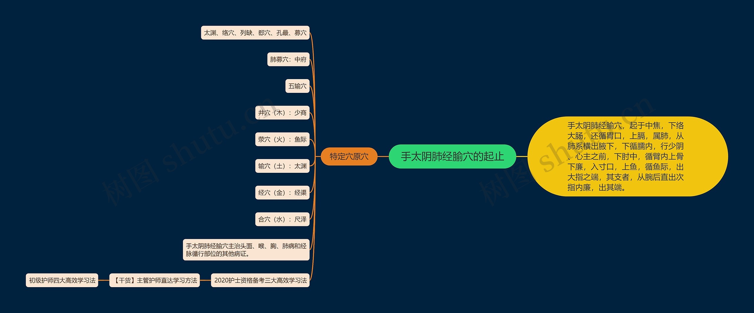 手太阴肺经腧穴的起止思维导图