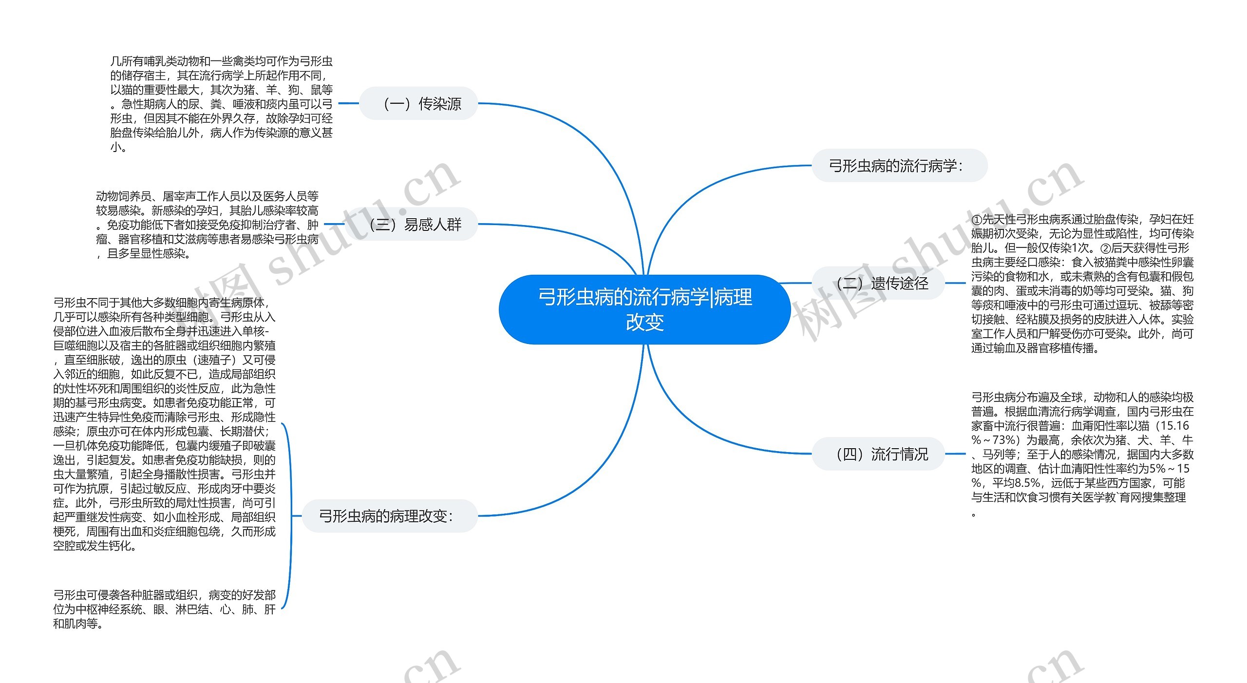 弓形虫病的流行病学|病理改变