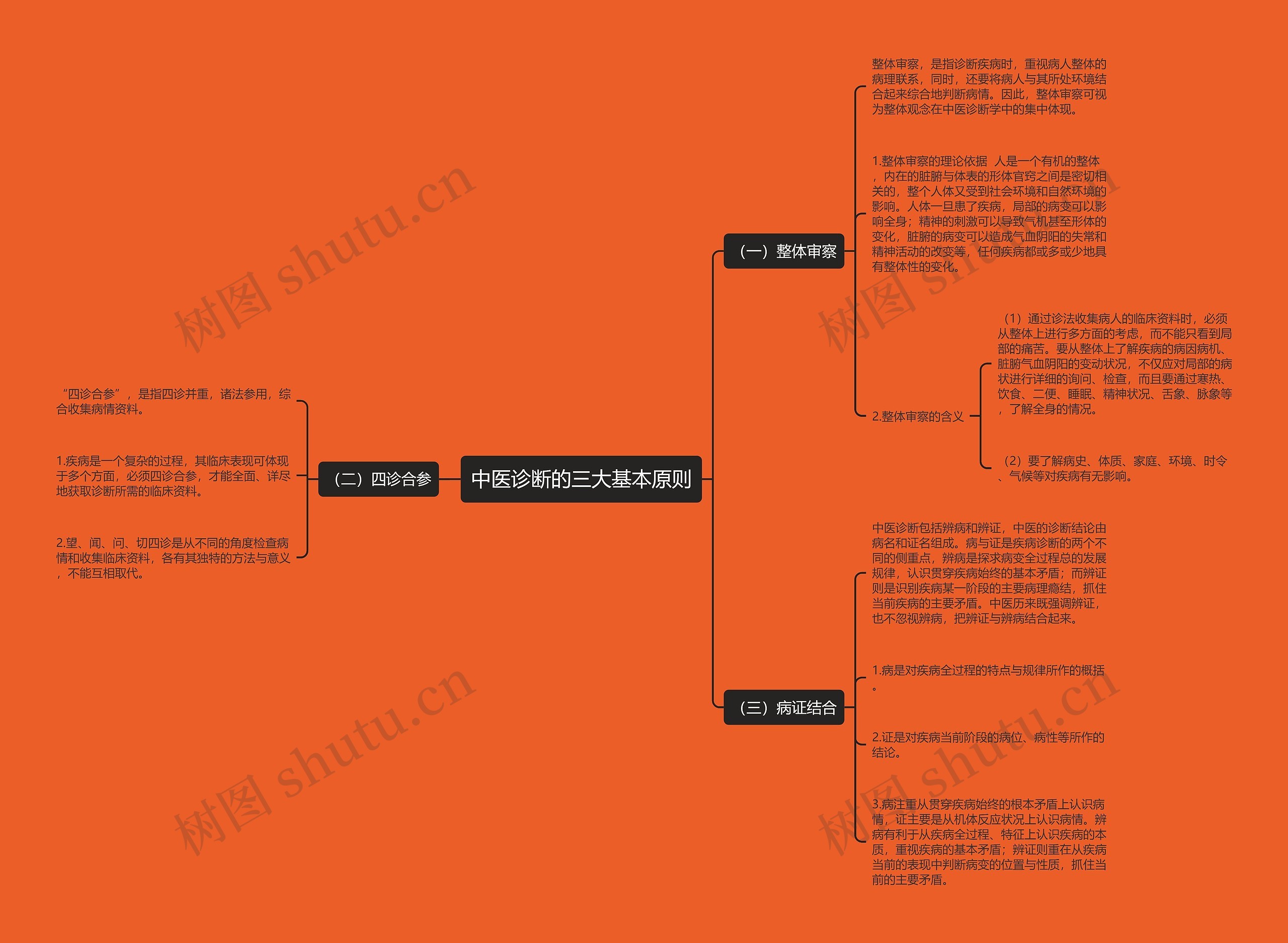 中医诊断的三大基本原则思维导图