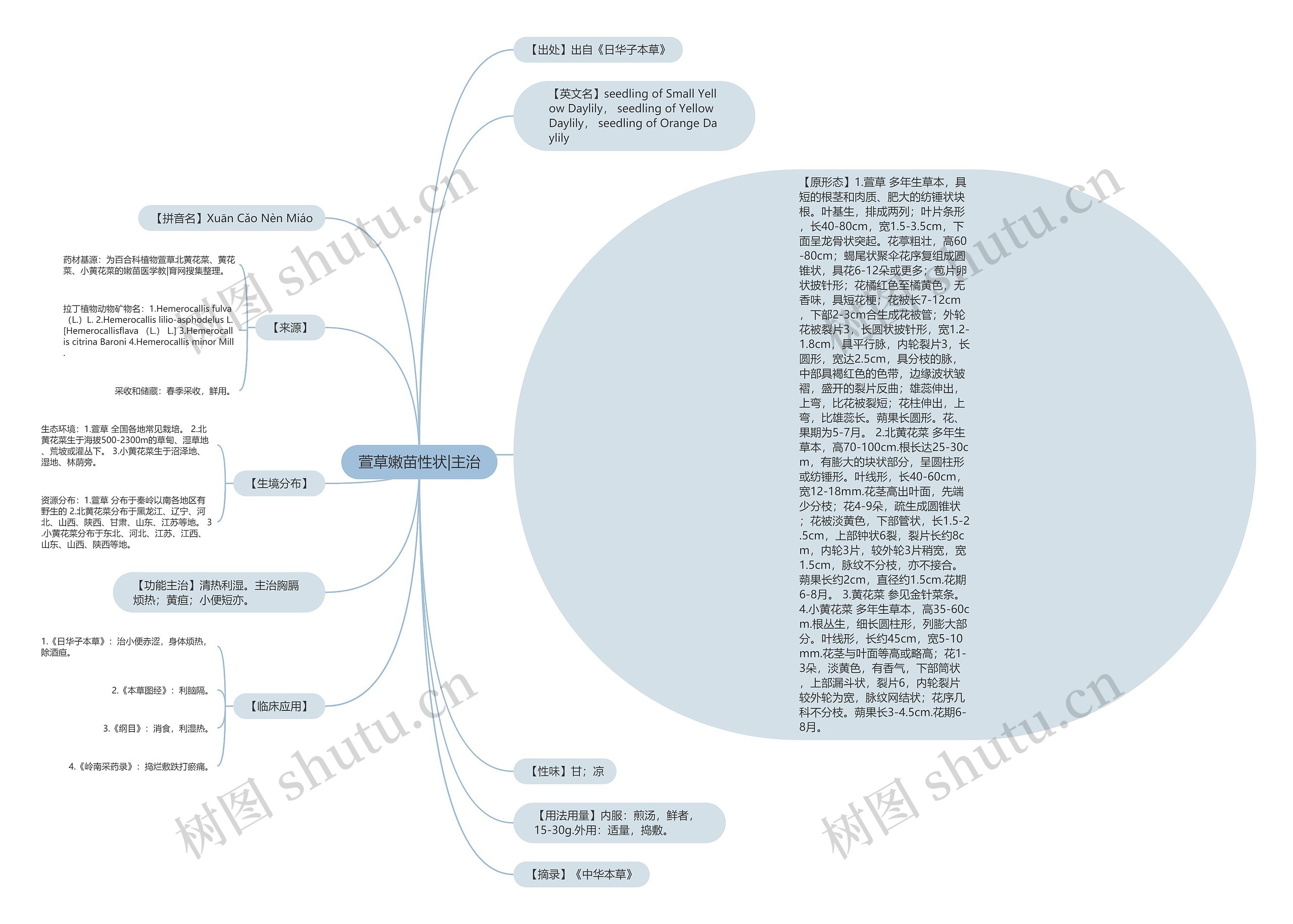 萱草嫩苗性状|主治 萱草嫩苗性状|主治