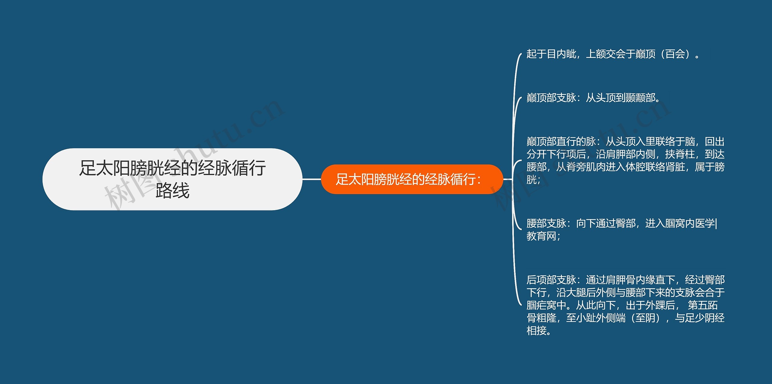 足太阳膀胱经的经脉循行路线思维导图