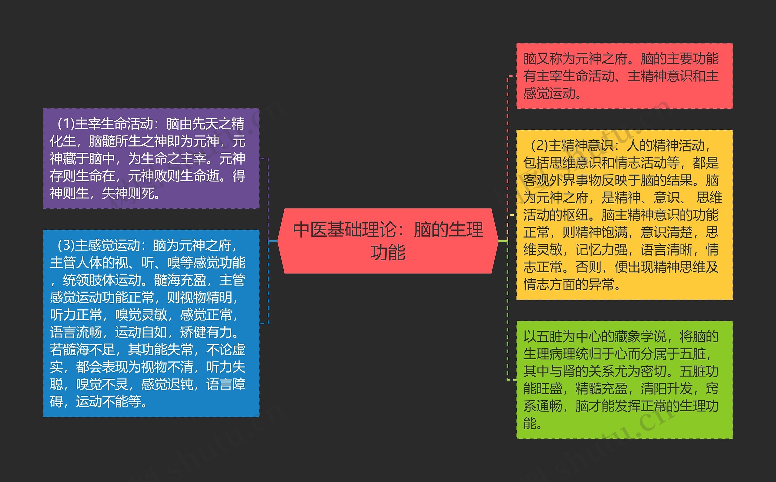 中医基础理论：脑的生理功能思维导图