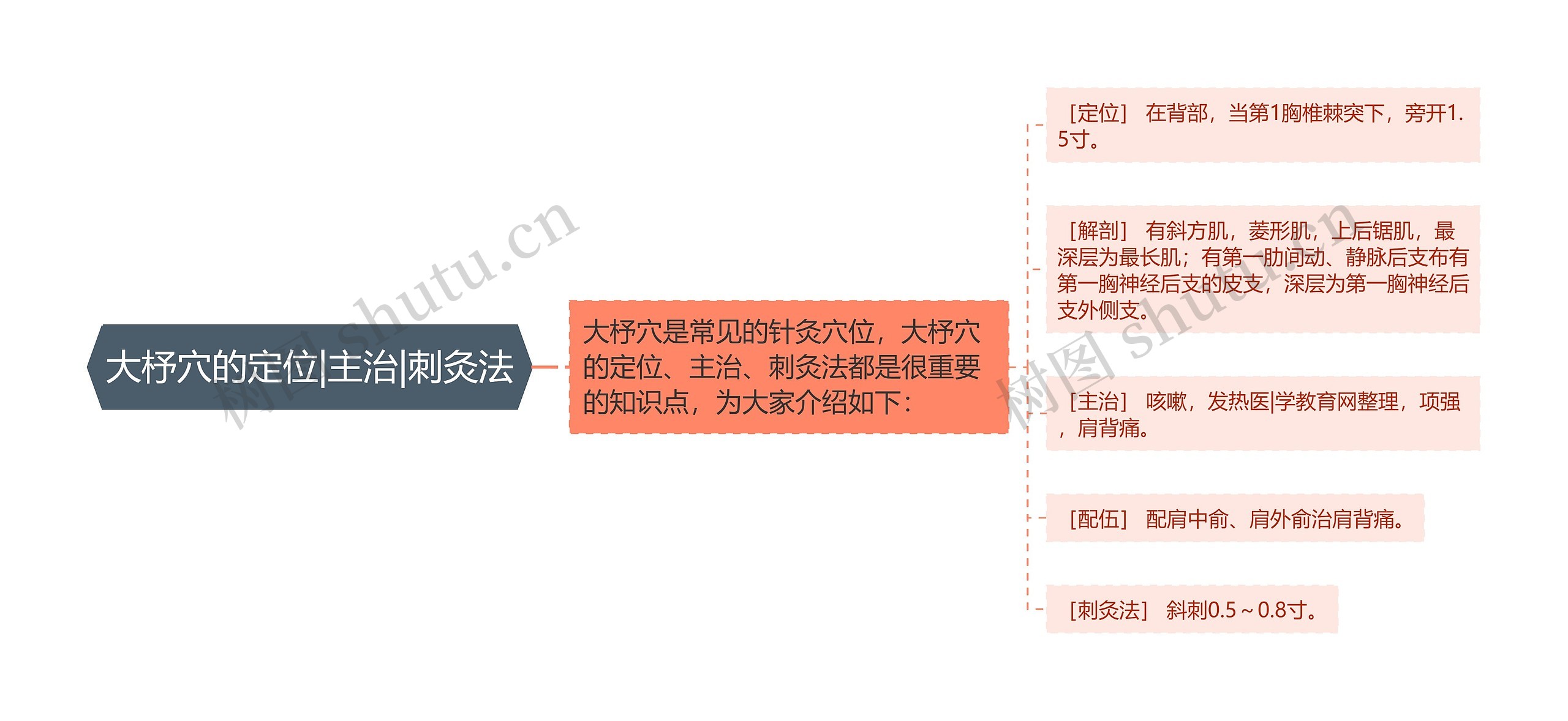 大杼穴的定位|主治|刺灸法