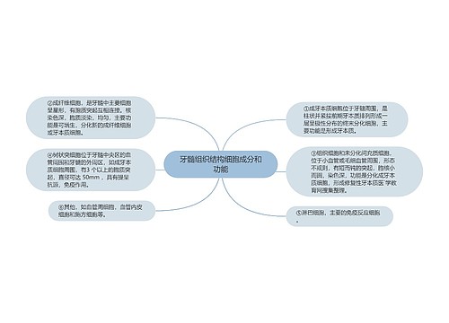 牙髓组织结构细胞成分和功能