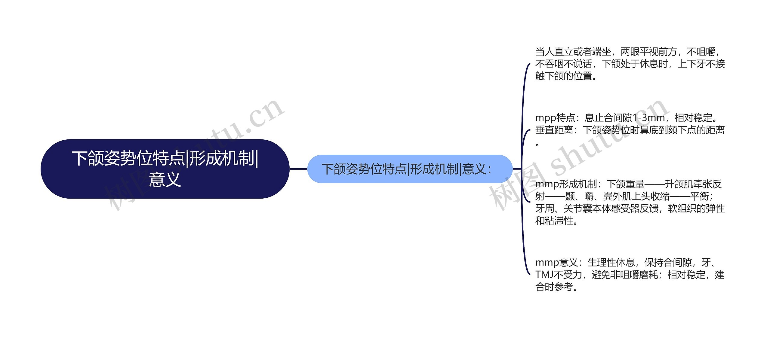 下颌姿势位特点|形成机制|意义思维导图