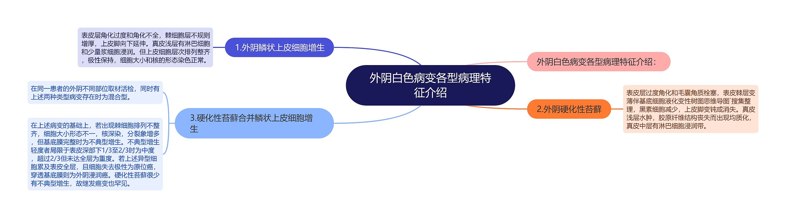 外阴白色病变各型病理特征介绍