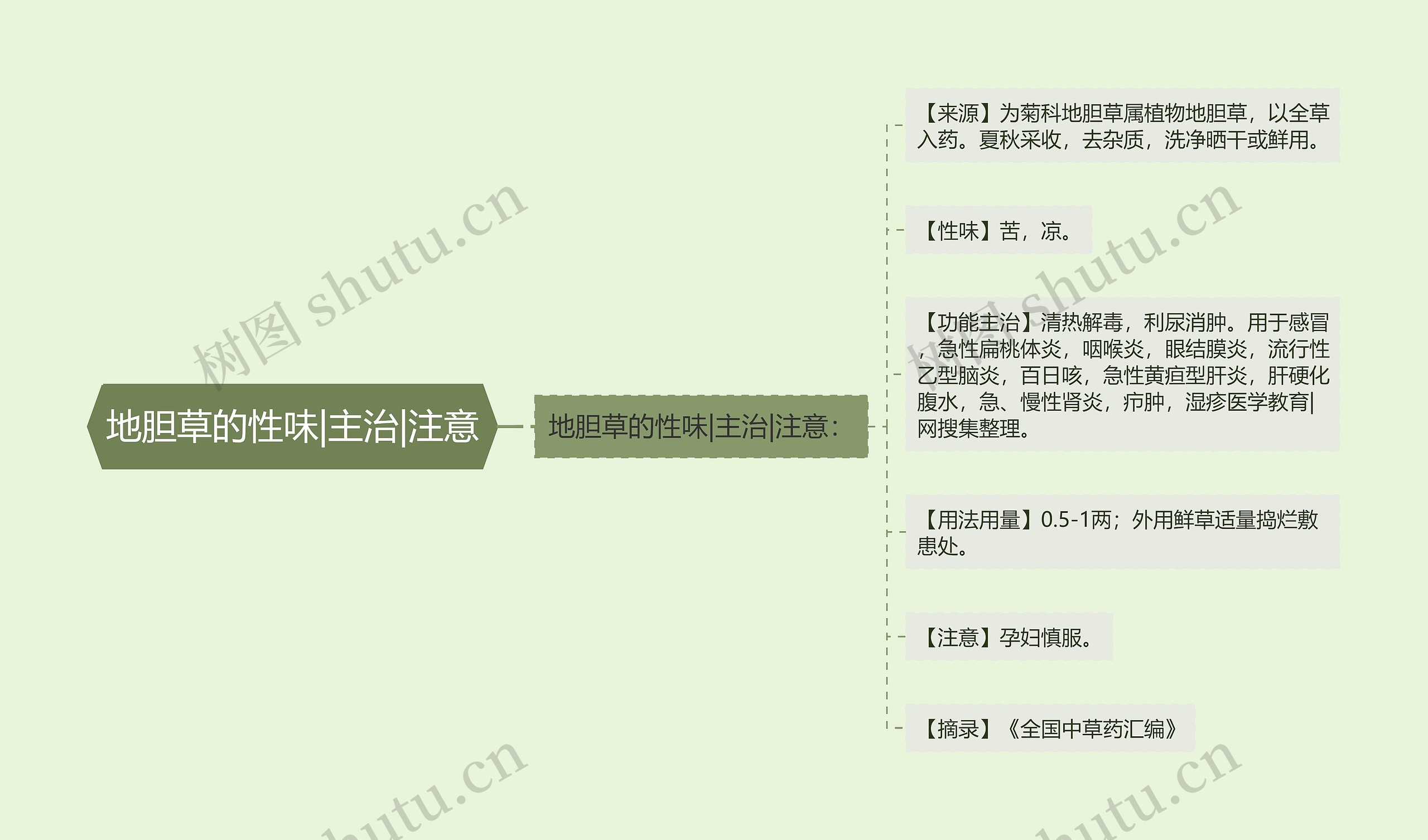 地胆草的性味|主治|注意思维导图