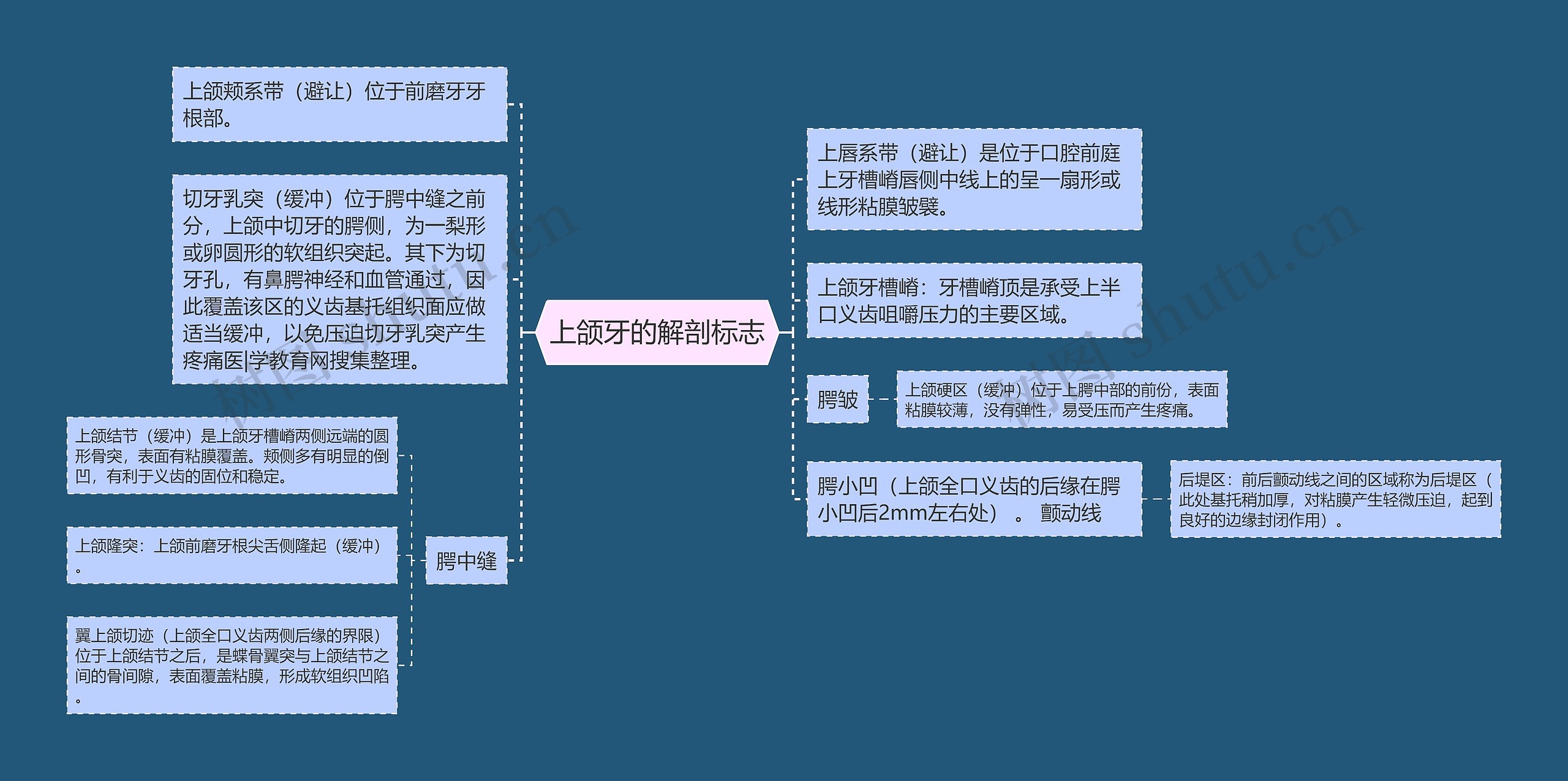 上颌牙的解剖标志思维导图