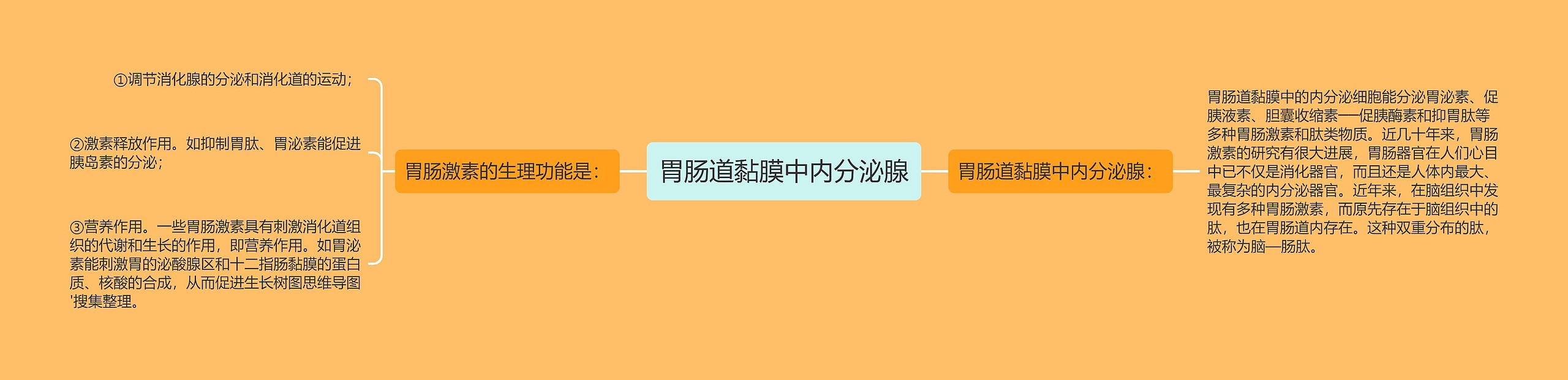 胃肠道黏膜中内分泌腺思维导图