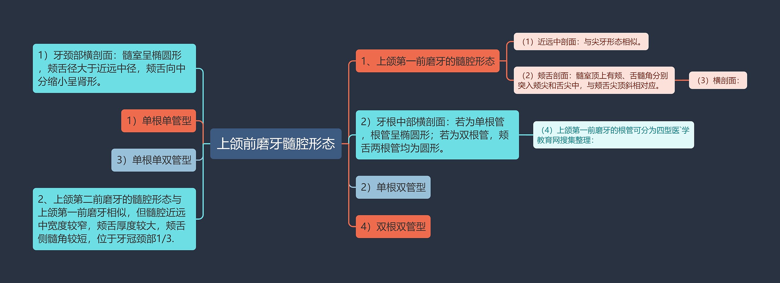 上颌前磨牙髓腔形态