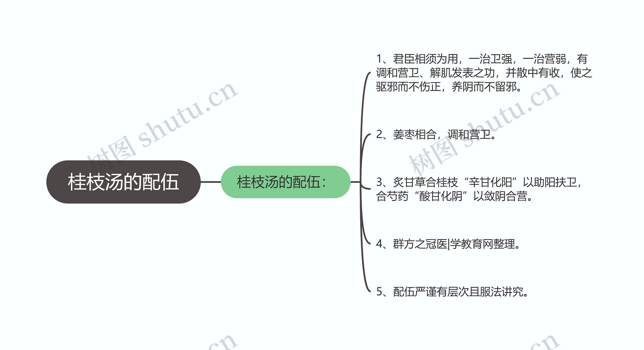 桂枝汤的配伍思维导图