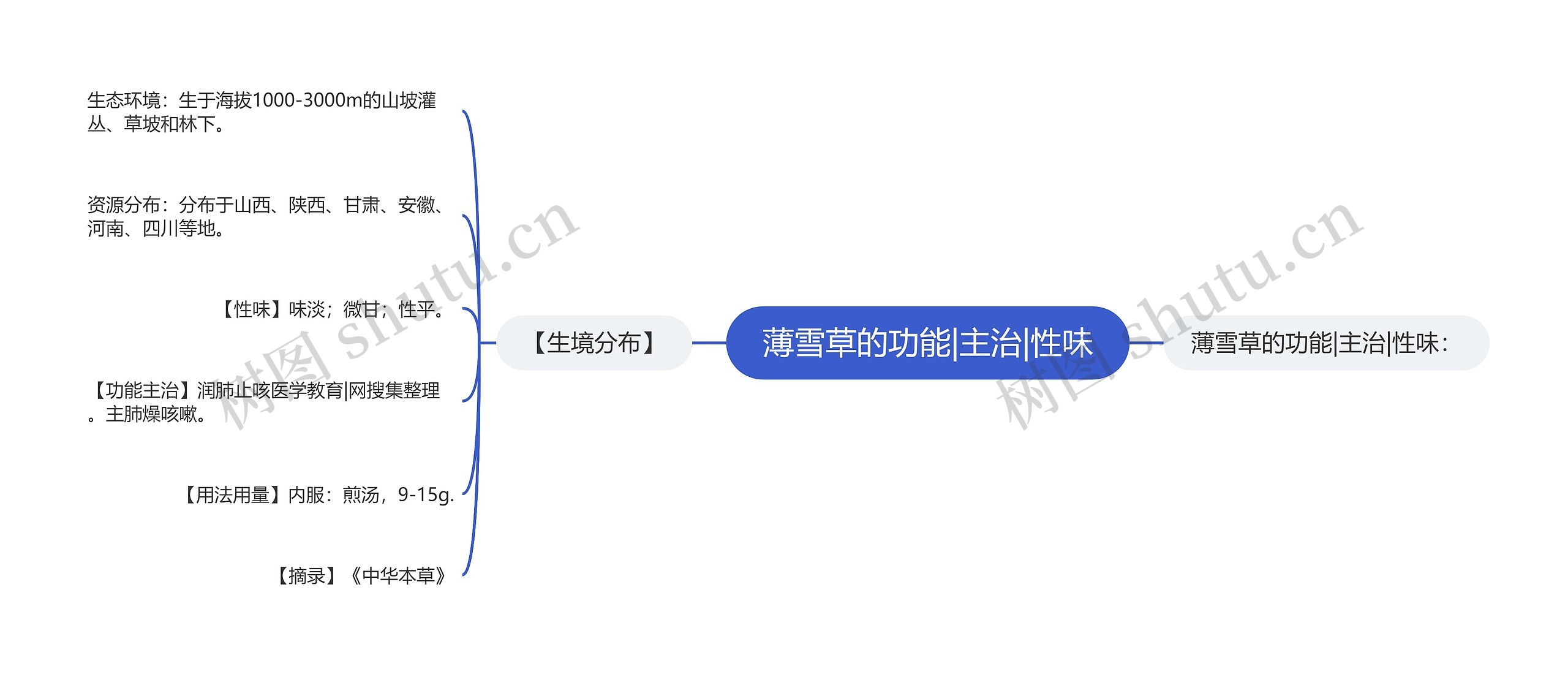 薄雪草的功能|主治|性味思维导图