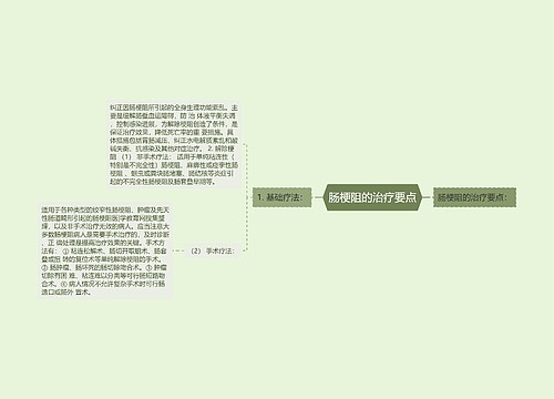 肠梗阻的治疗要点