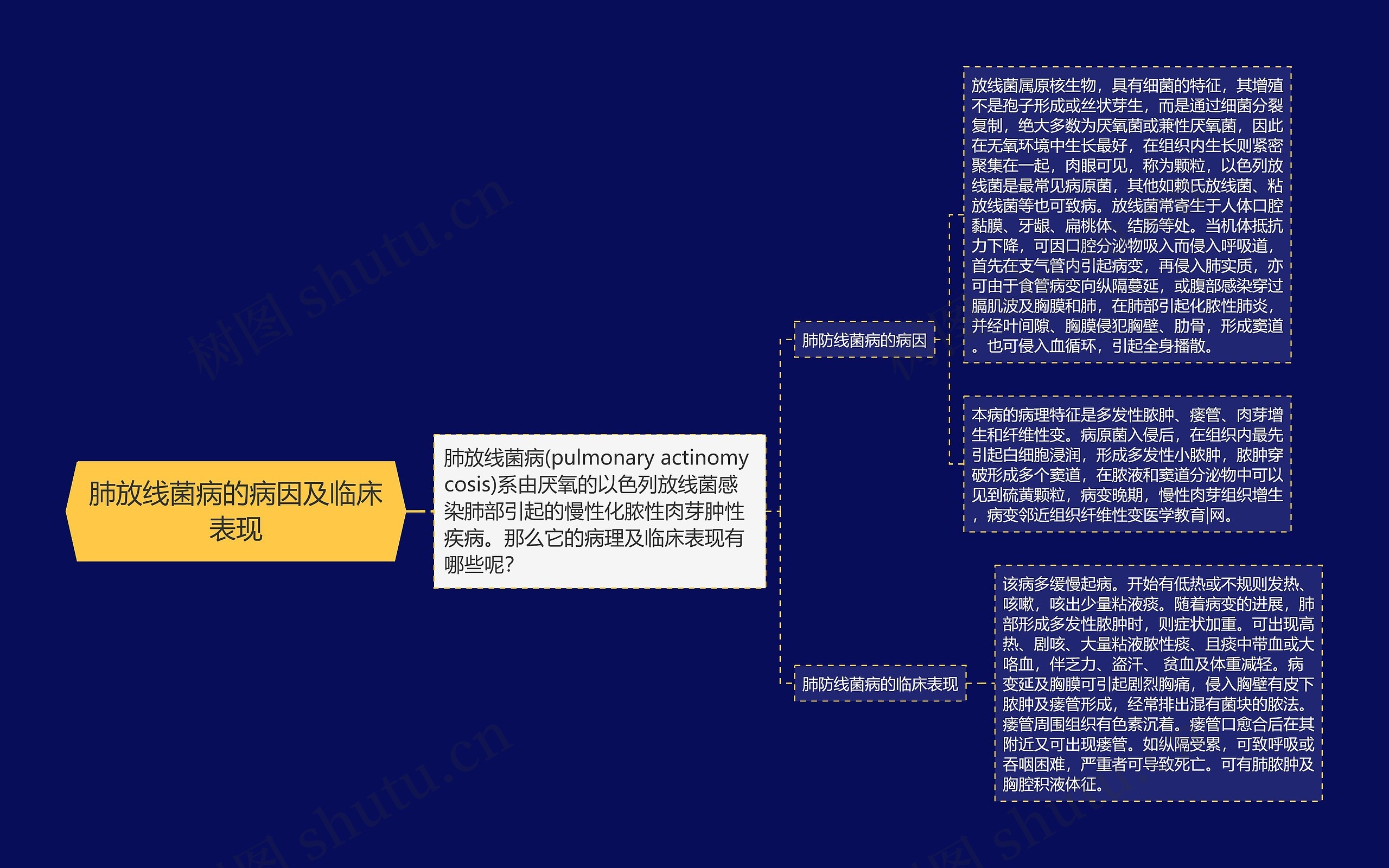 肺放线菌病的病因及临床表现思维导图