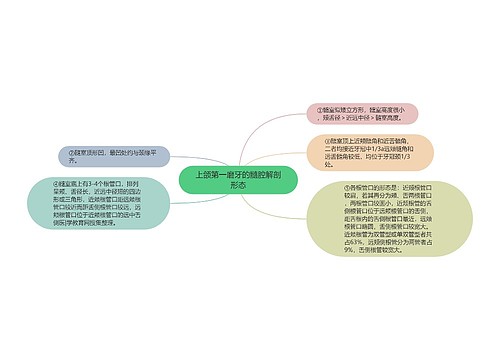 上颌第一磨牙的髓腔解剖形态