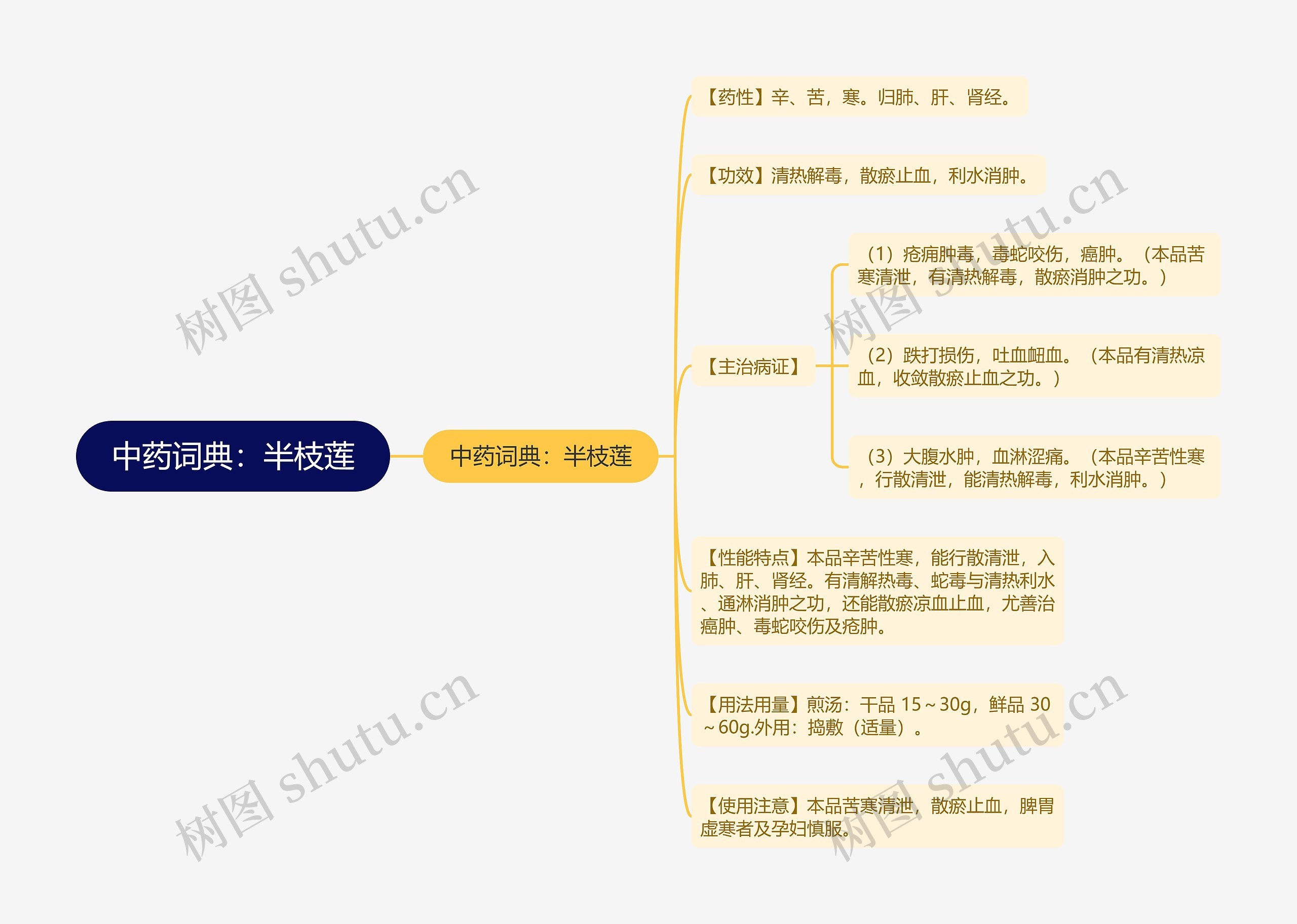 中药词典：半枝莲思维导图