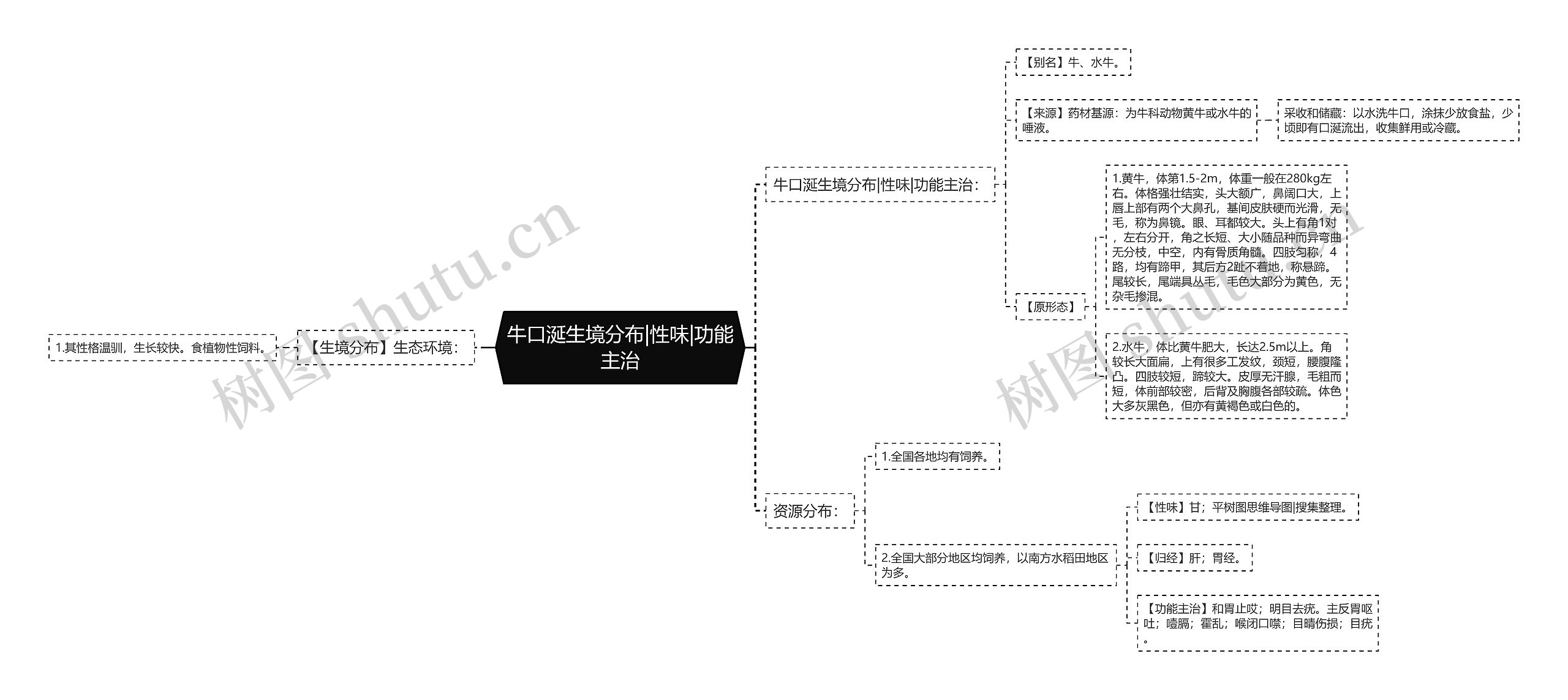 牛口涎生境分布|性味|功能主治思维导图