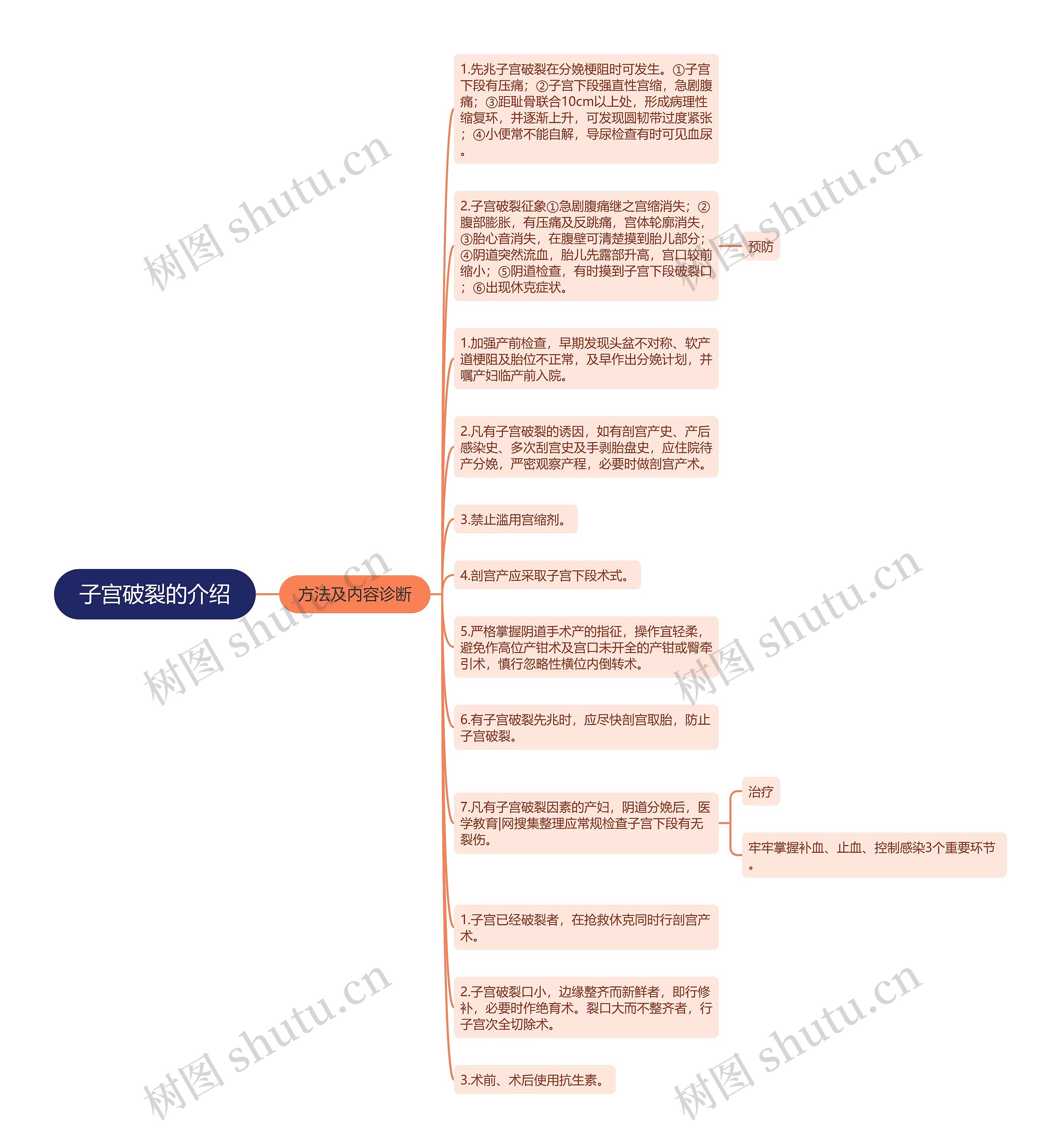 子宫破裂的介绍思维导图