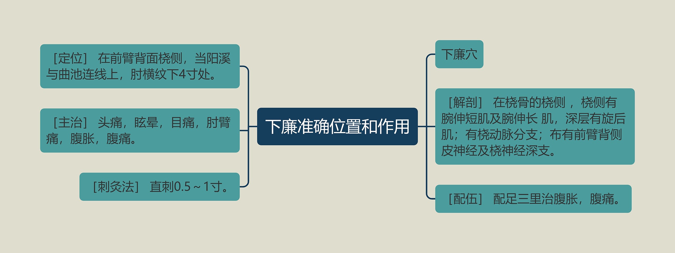 下廉准确位置和作用 下廉准确位置和作用