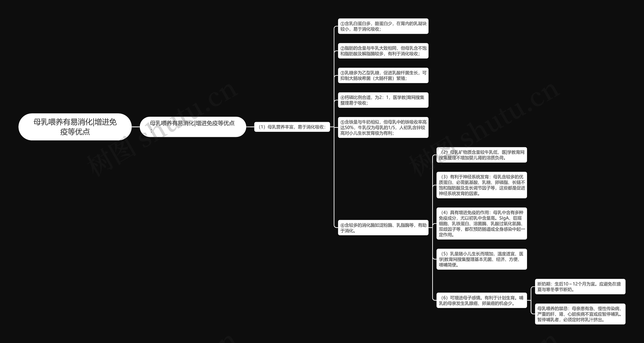 母乳喂养有易消化|增进免疫等优点思维导图