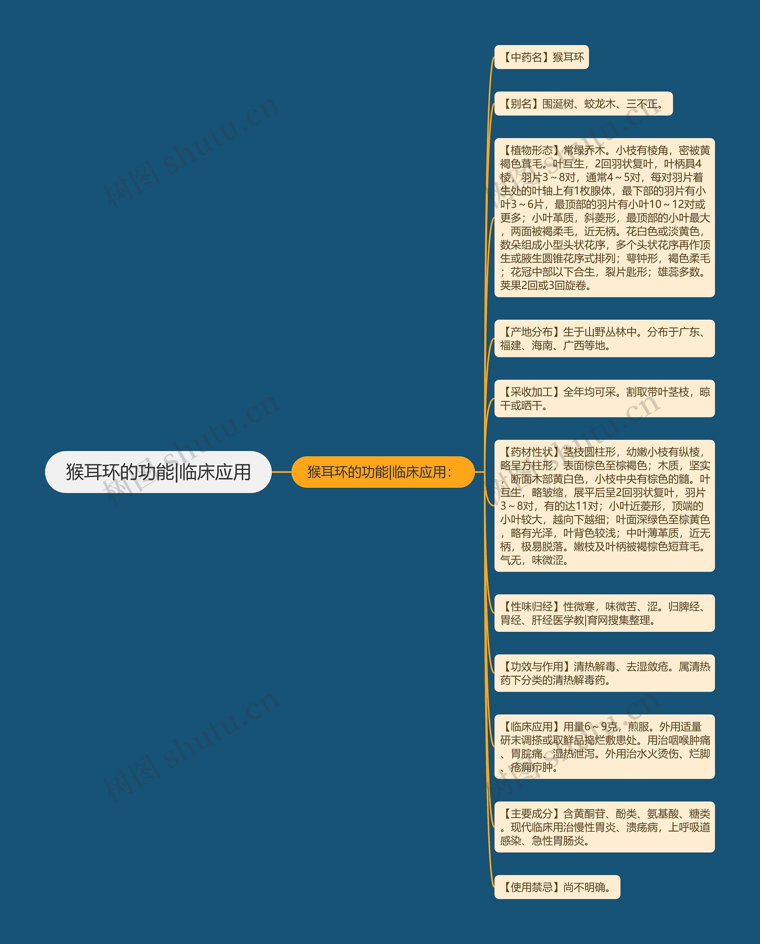 猴耳环的功能|临床应用思维导图