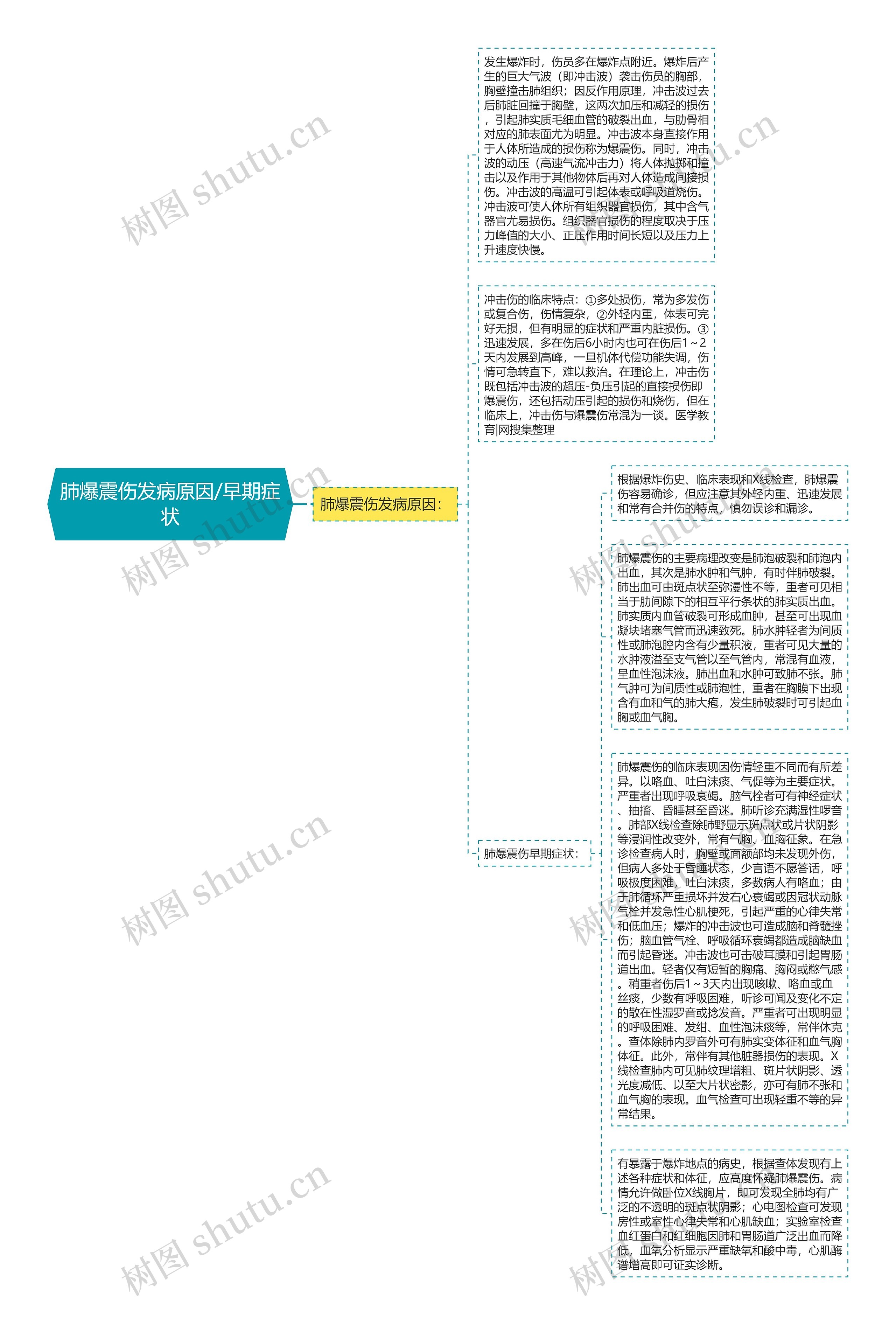 肺爆震伤发病原因/早期症状思维导图