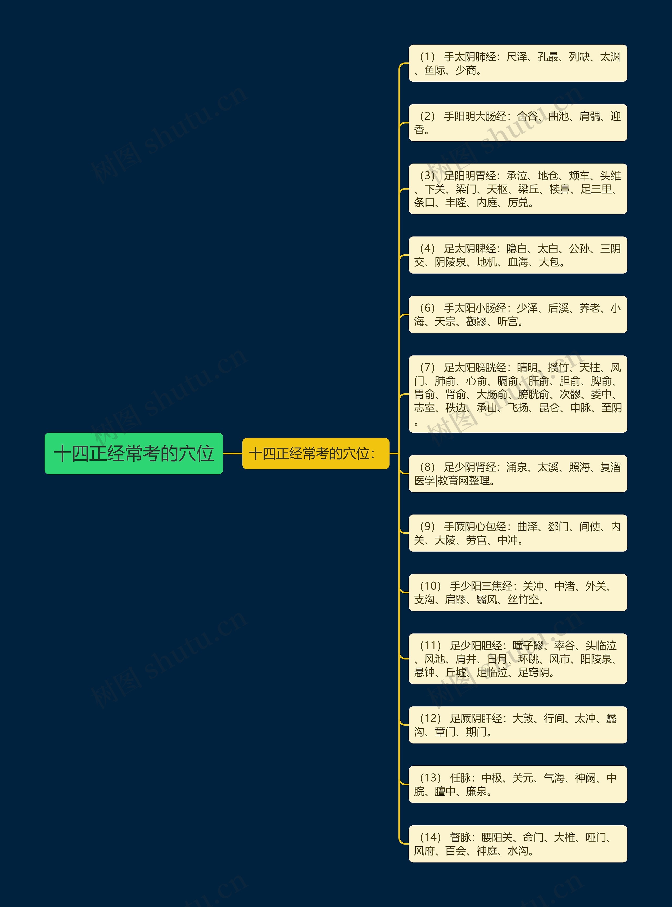 十四正经常考的穴位思维导图