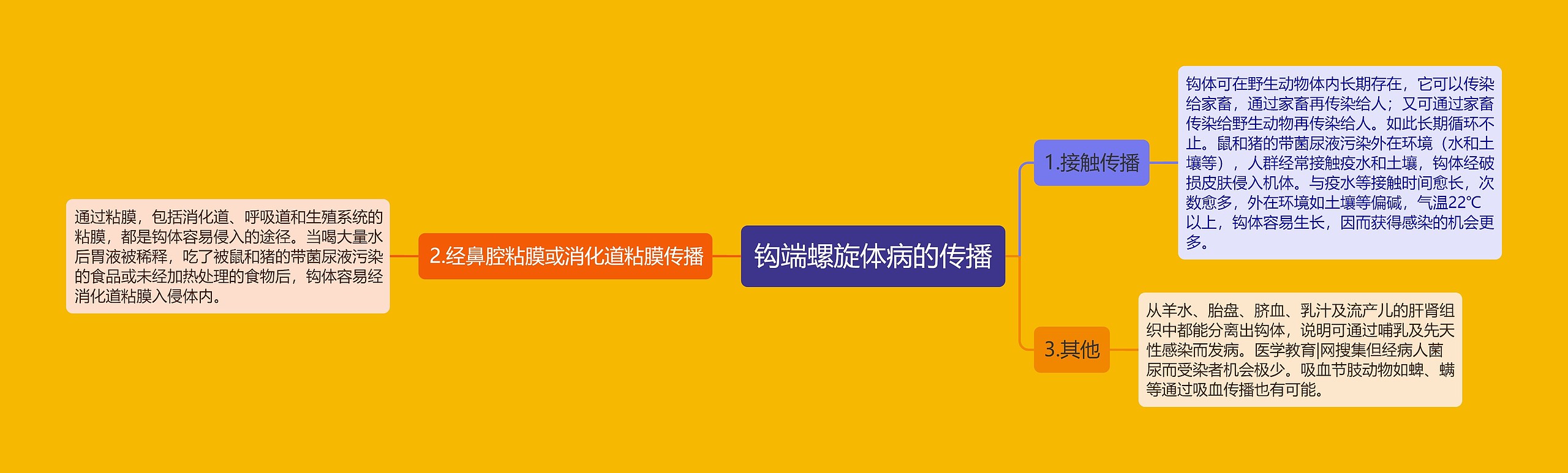 钩端螺旋体病的传播 钩端螺旋体病的传播